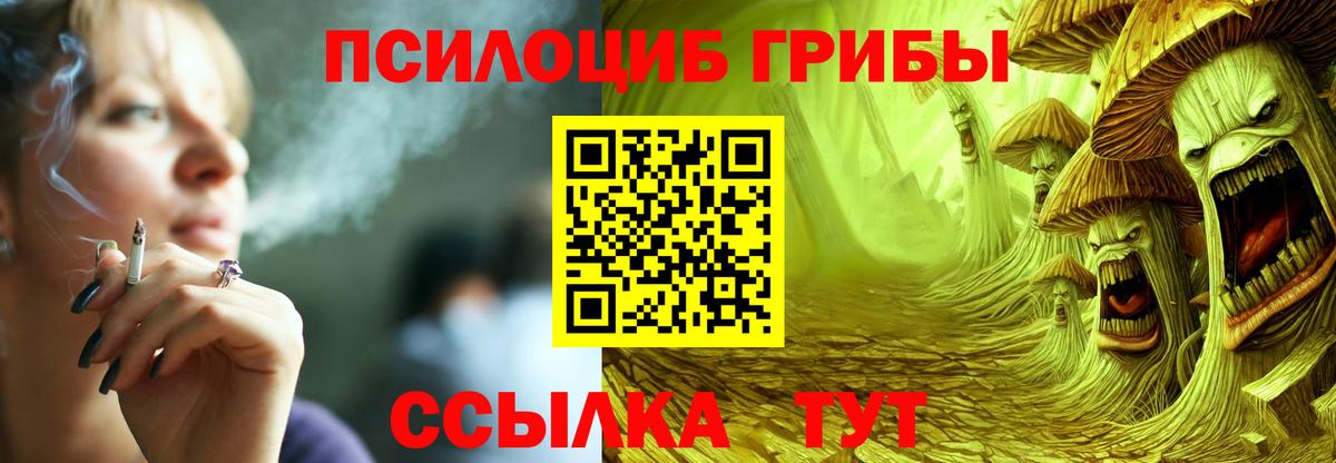 Галлюциногенные грибы Magic Shrooms  Вход с VPN  Кудрово 